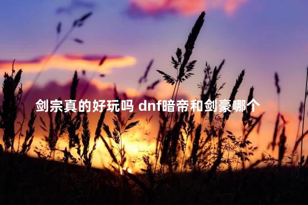 剑宗真的好玩吗 dnf暗帝和剑豪哪个好玩